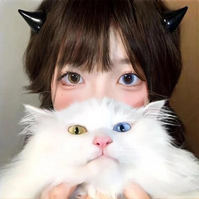 旺角藏龙